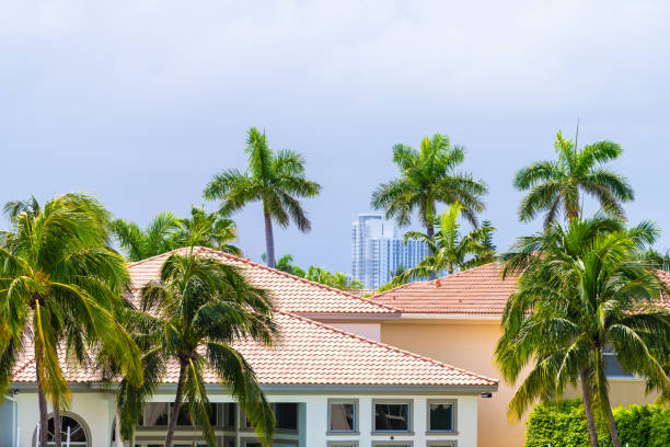 miami, florida proprietà immobiliare villa moderna villa di lusso a hollywood dalla spiaggia di hallandale tre isole con le palme il giorno d'estate - palm tree florida house residential district foto e immagini stock