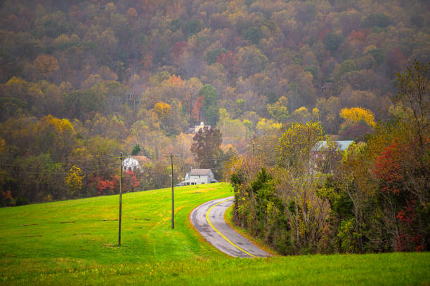 Grass garden next to and road and house in the background