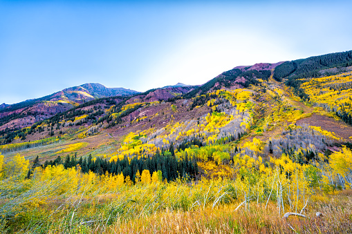 Aspen Colorado Rocky mountain Maroon Bells elk mountain range at sunrise with aspen trees forest foliage autumn fall, white river national forest