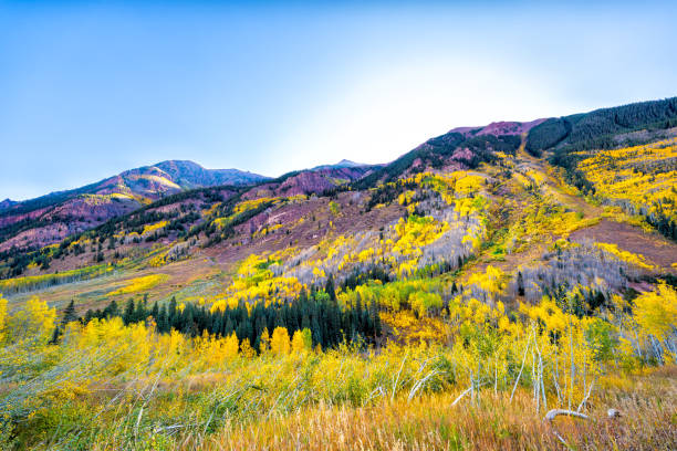 aspen colorado rocky mountain maroon bells elk mountain range at sunrise with aspen trees forest foliage autumn fall, white river national forest - aspen highlands imagens e fotografias de stock