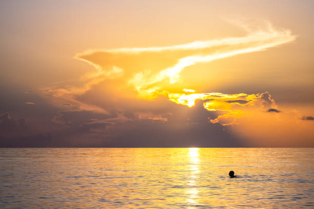 istock Hollywood Beach in Miami, Florida morning sunrise sun behind sky clouds with reflection path, person people swimming in calm still landscape water 1451854112