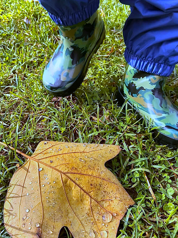 Low angle view of a toddler walking among falling leaves in autumn