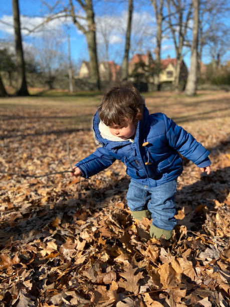 istock Toddler among falling leaves in autumn 1451855307