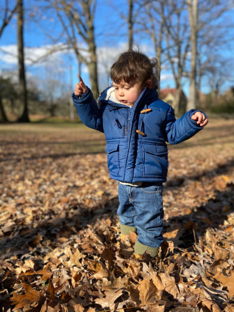 istock Toddler among falling leaves in autumn 1451855323