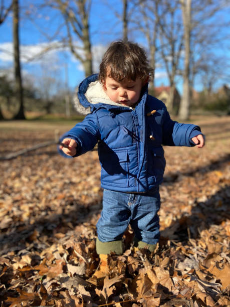 istock Toddler among falling leaves in autumn 1451855370