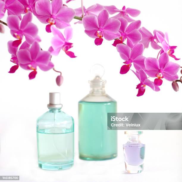 Orchid Beauty Stock Photo - Download Image Now - Beauty, Body Care, Body Conscious