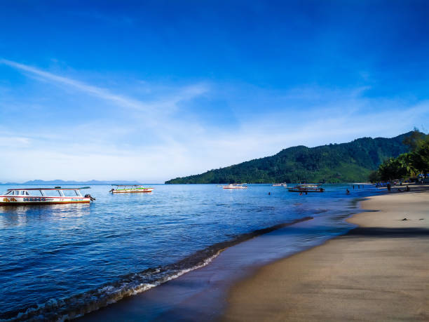 istock The sea and beach 1451863416