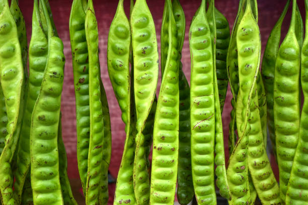 Bitter beans, Parkia speciosa bean, at farmer's market in Kuala Lumpur