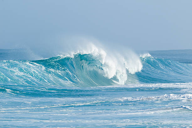 istock Backdoor Tube Wave in Oahu 145186367