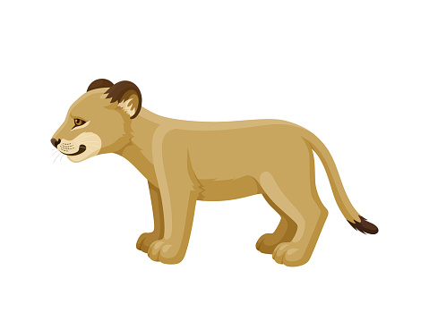 Lion cub. Side view. Vector illustration.