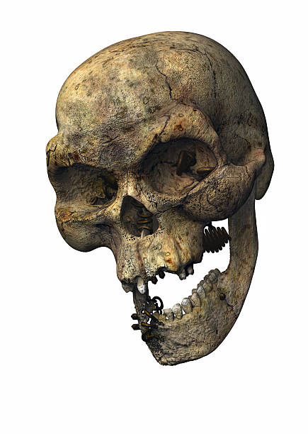 pierced skull stock photo