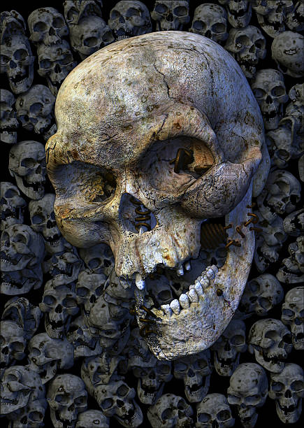 skulls stock photo