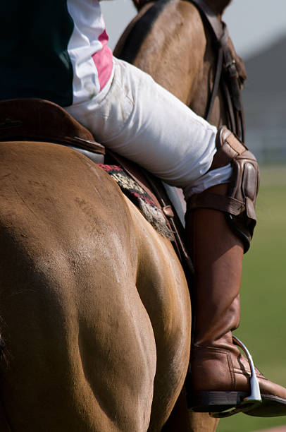 istock Polo Pony and Rider 145186968