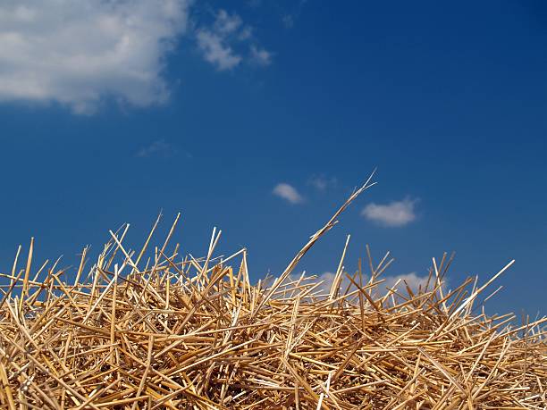 Haystack with blue sky and small amount of clouds stock photo