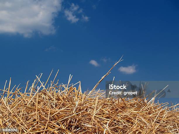 Monte De Feno - Fotografias de stock e mais imagens de Agricultura - Agricultura, Amontoar, Ao Ar Livre