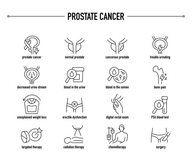 전립선 암 벡터 아이콘 세트 - 전립샘 stock illustrations