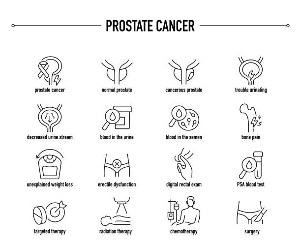 Prostate Cancer vector icon set Prostate Cancer symptoms, diagnostic and treatment icon set. Line editable medical icons. pelvis icon stock illustrations