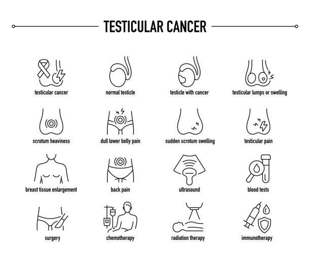 Testicular Cancer vector icon set Testicular Cancer symptoms, diagnostic and treatment icon set. Line editable medical icons. testis stock illustrations
