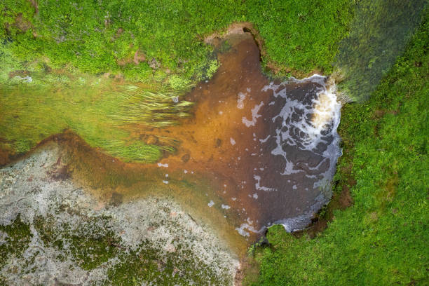 istock Aerial view of a stream 1451881650