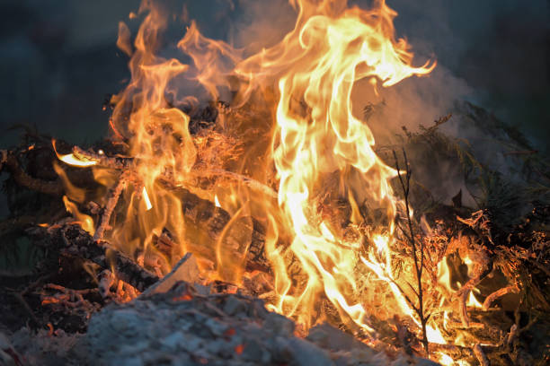 istock Structural shapely flames bright yellow against fuller orange flames rising from a garden fire 1451882292
