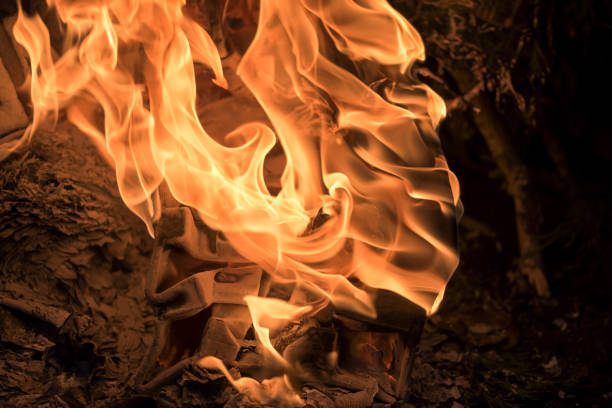 Delicate dancing flames rising from a bonfire, resembling waves from the ocean, fire, heat