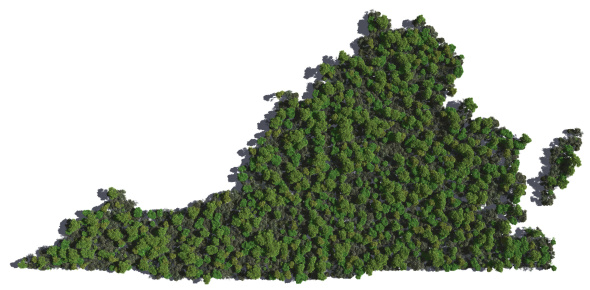 The shape of Virginia grown in trees.