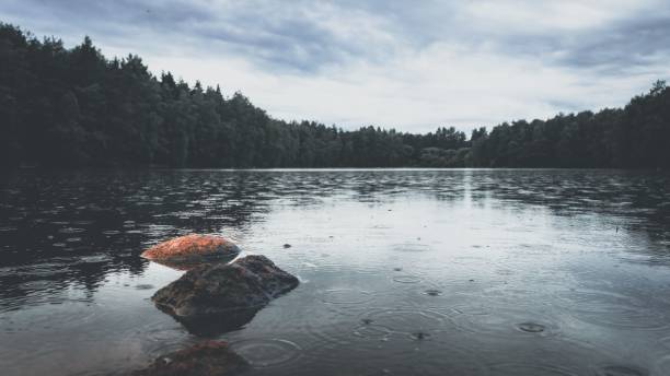 A landscape of a lake between lush forest trees on a rainy day