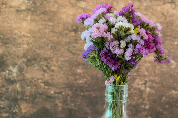 sobressalto seco em uma garrafa de vidro em uma mesa de madeira. - limonium - fotografias e filmes do acervo