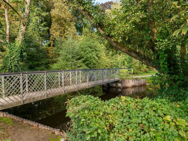 istock Small bridge in Borken Germany surrounded by dense green vegetation 1451897923