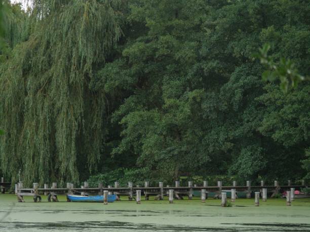 istock Lake covered with green algae surrounded by vegetation in Borken 1451897939