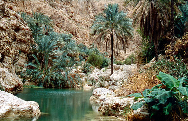 Wadi Shab Impression of the famous Wadi Shab in Oman  riverbed stock pictures, royalty-free photos & images