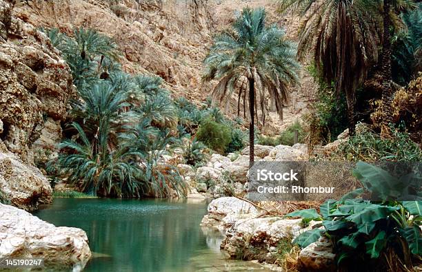 Wadi Shab - zdjęcia stockowe i więcej obrazów Oman - Oman, Koryto rzeki - Land Feature, Oaza