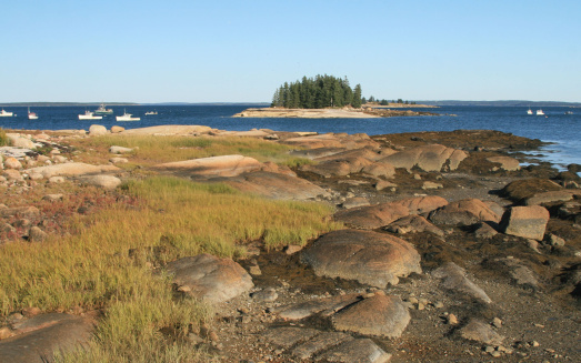 Coastal scene.  Deer Isle, Maine. 