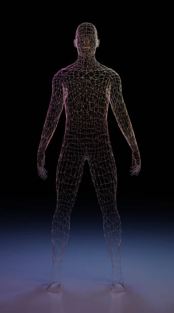 istock Human body of man made of wire mesh. 1451908406