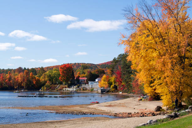 istock Beach at Schroon Lake in Autumn 1451908687