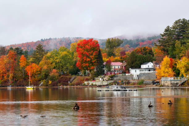istock Schroon Lake in Autumn 1451908743