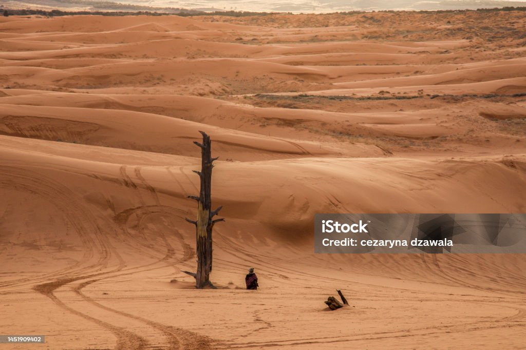 Meditation in the desert This photo was taken in Utah desert- at Coral Pink Sand Dunes of a person meditating in solitude Adult Stock Photo