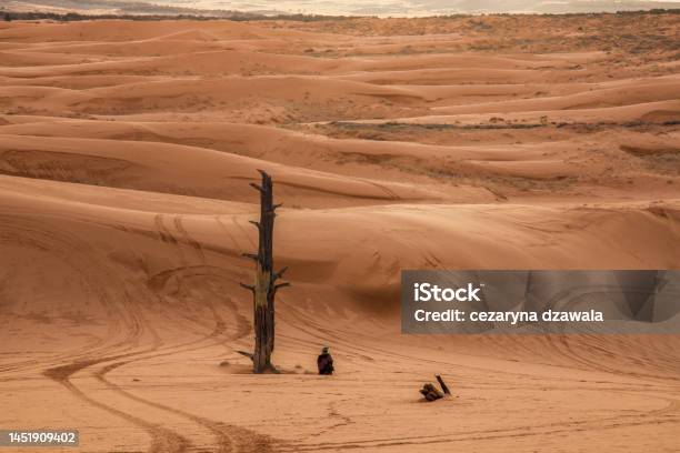 Meditation In The Desert Stock Photo - Download Image Now - Adult, Adults Only, Adventure