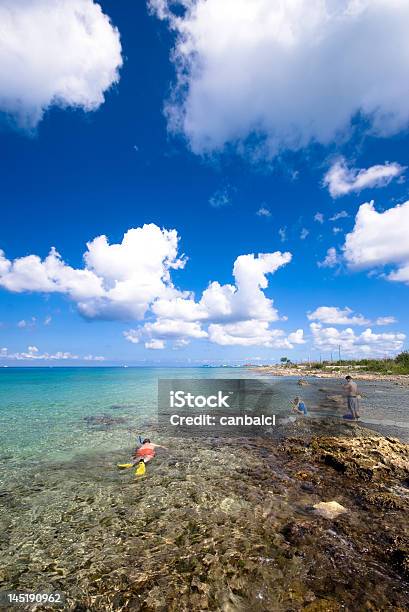 Personas Buceo Con Esnórquel En La Playa De Cozumel México Foto de stock y más banco de imágenes de Buceo con tubo