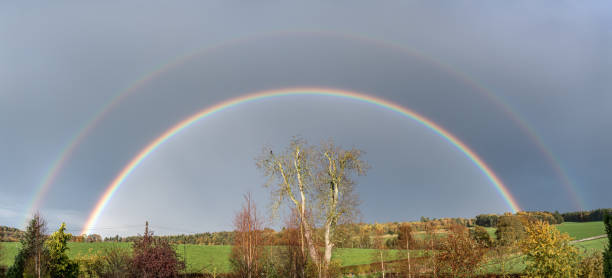 Double Rainbow over Ash Tree in winter in the Scottish Borders United Kingdom