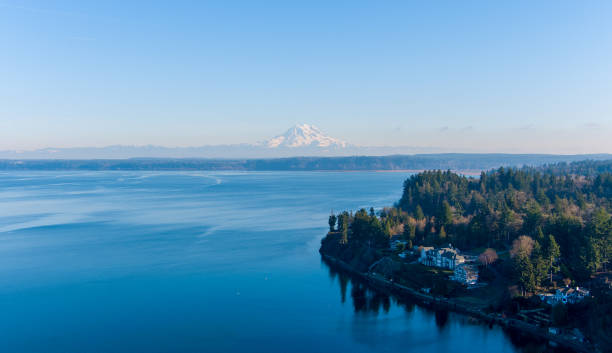 istock Mount Rainier on the horizon 1451911141