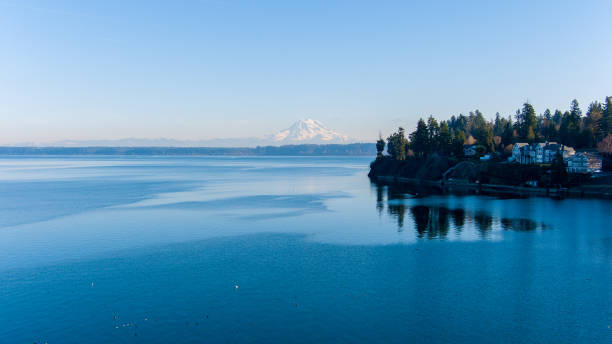 istock Mount Rainier at Nisqually Reach 1451911235