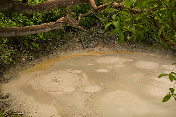 Bubbling mud pool Rincon de la Vieja, Costa Rica
