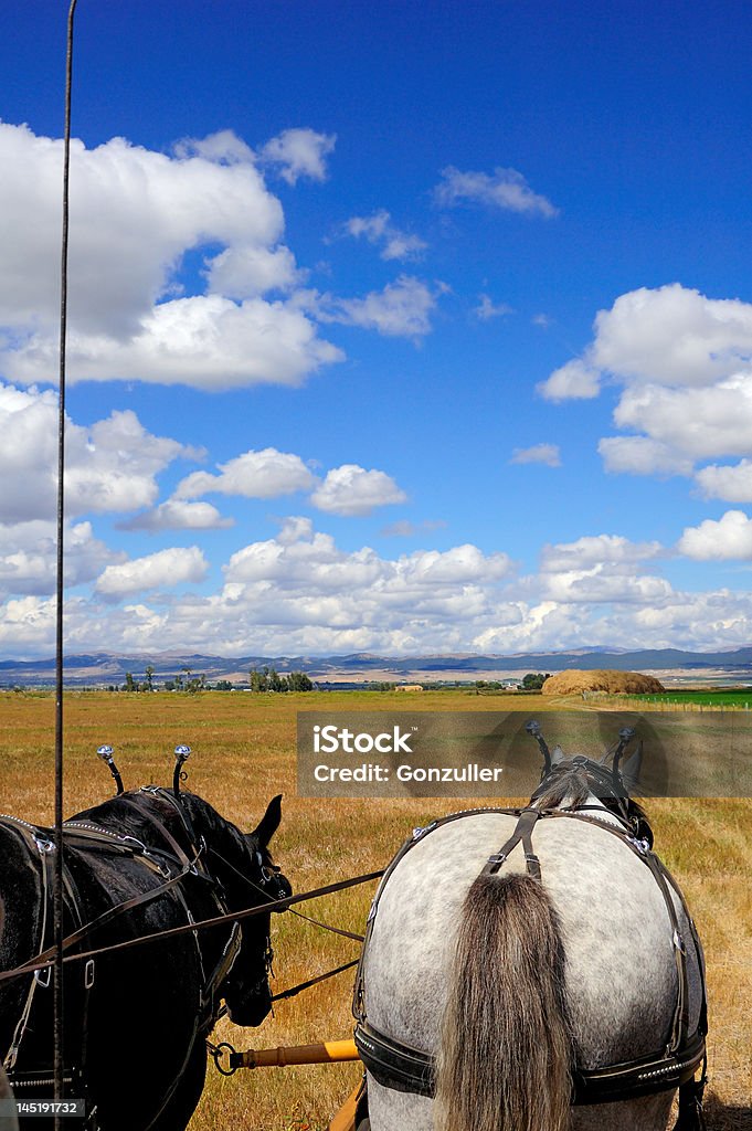 Montana Hayride A hayride in the fall in Helena, Montana Autumn Stock Photo