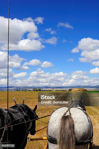Montana Hayride Stock Photo - Download Image Now - Autumn, Blue, Cloud - Sky