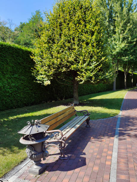 istock In the city park there is a decorative bench and a hand-made trash can 1451922169