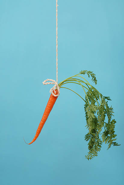 à moi&nbsp;! - stick dangling a carrot carrot motivation photos et images de collection