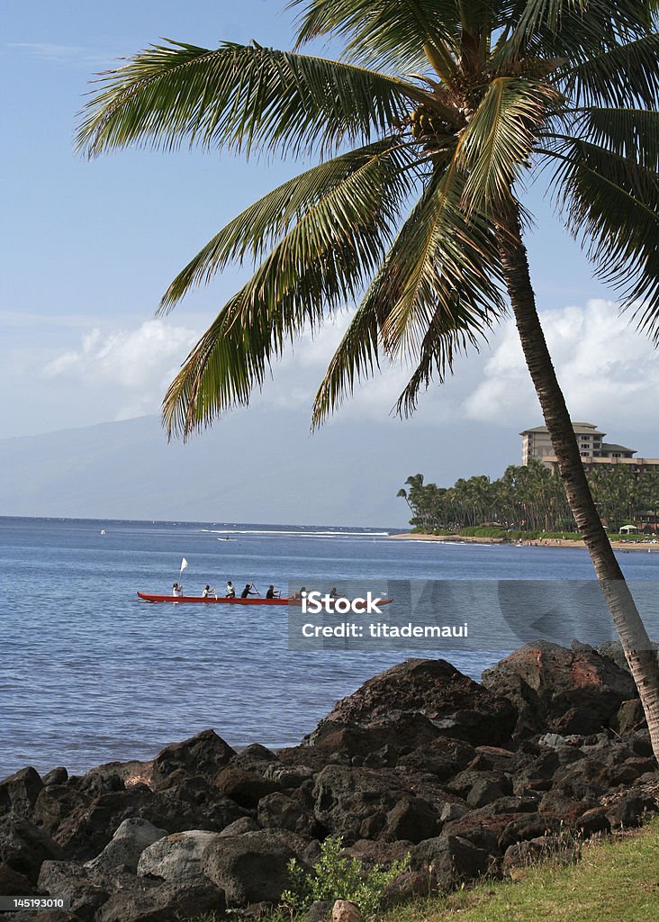 카누 하와이 - 로열티 프리 나무 스톡 사진