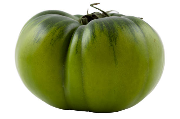 Green organic tomato stock photo