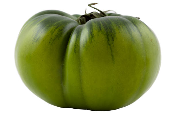 Tomate verde orgânico - foto de acervo